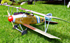 Albatros DIII 59"