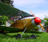 Albatros DIII 59"