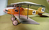 Albatros DII 36"