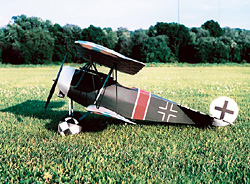 Fokker DVI 35.5" by Richard Dery