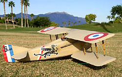 SPAD VII 36"