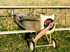 SPAD VII 36" 