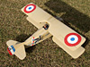 SPAD VII 36"