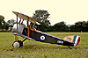 Sopwith Pup 40"
